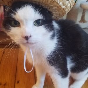 Meet your Posher, Natalie